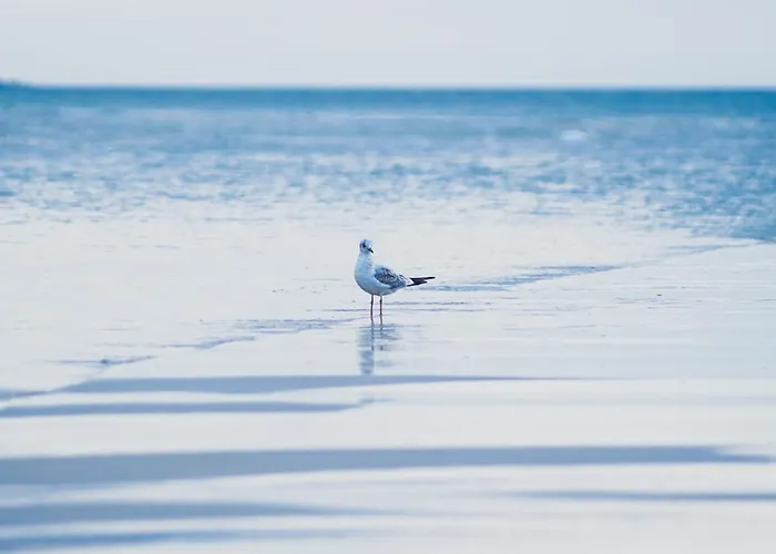 Апартаменты Nadmorskie Tarasy A 406 *